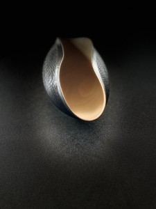 Muschelschale aus Esche mit Textur